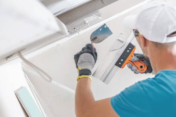 Best Water-Damaged Drywall Repair  in Deephaven, MN